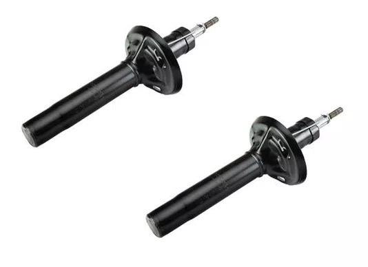 AMORTECEDOR DIANTEIRO FORD FO18T (MULTIPLO 2)