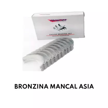BRONZINA MANCAL ASIA
