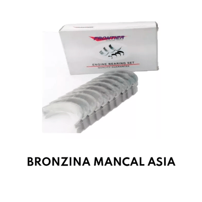 BRONZINA MANCAL ASIA - Frontier