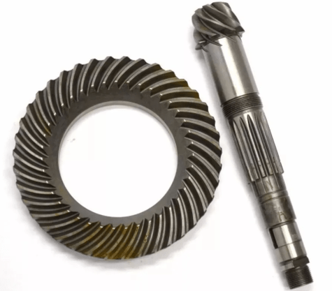 COROA E PINHAO VW