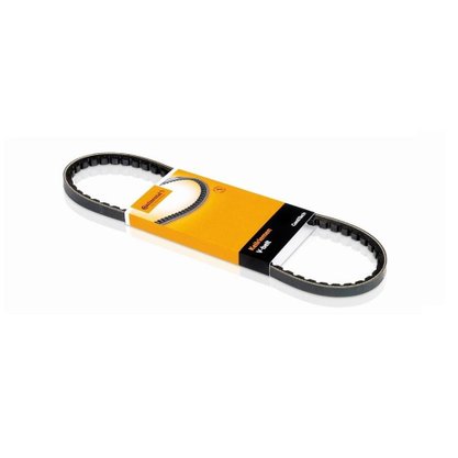 CORREIA V 740MM 10MM CONTINENTAL - AVX10X740