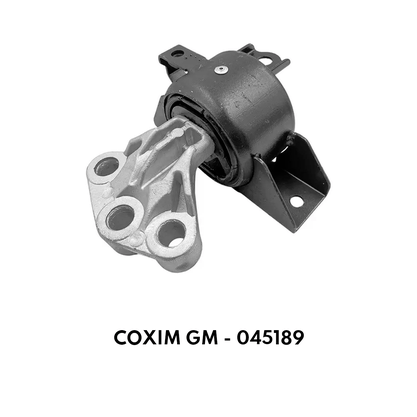 Coxim Gm - Jahu