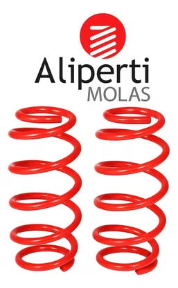 Mola Esportiva RENAULT