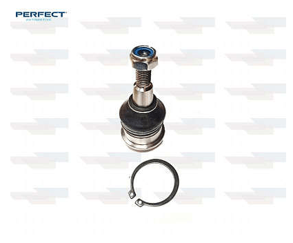 Pivo Gm - Perfect