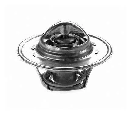 Válvula Termostática da Peugeot