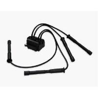 BOBINA DE IGNIÇÃO DELPHI - CE20017