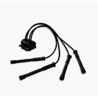 BOBINA DE IGNIÇÃO DELPHI - CE20018