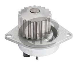 Bomba Agua Citroen Ci2r