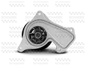 Bomba Agua Renault  R8sc