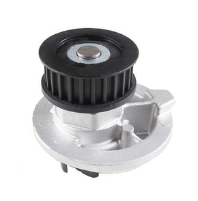 BOMBA D'ÁGUA INDISA - 252003