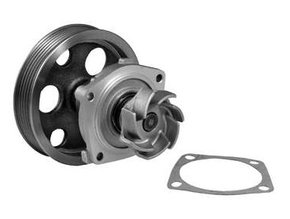 BOMBA D'ÁGUA DELPHI - WP5763