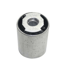 BUCHA DE ALGEMA E FEIXE DE MOLA TRASEIRO DIREITO / ESQUERDO SAMPEL - 1150