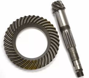 COROA E PINHAO VW