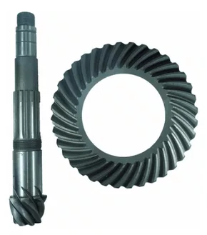 COROA E PINHAO VW