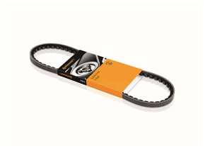 CORREIA V 890MM 13MM CONTINENTAL - AVX13X890