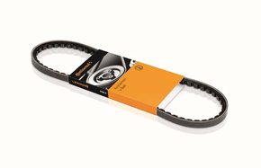 CORREIA V 895MM 13MM CONTINENTAL - AVX13X895