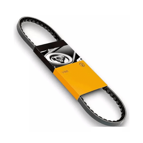 CORREIA V CONTITECH - 10X910