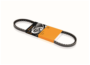 CORREIA V CONTITECH - AVX11X755
