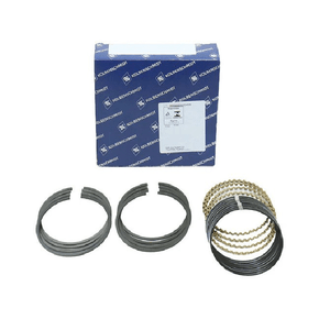 JOGO DE ANÉIS DO PISTÃO KS PIERBURG - 800060740000