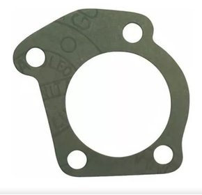 JUNTA VALVULA TERMOSTATICA FIAT (40269)