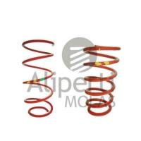 MOLA ESPORTIVA ALIPERTI - AL8311 - GRAND SIENA \ SIENA