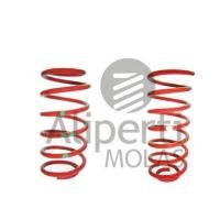 MOLA ESPORTIVA DIANTEIRO TRASEIRO ESPOTIVO ALIPERTI - AL8105