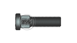 PARAFUSO ZM - ZM 30.012.20