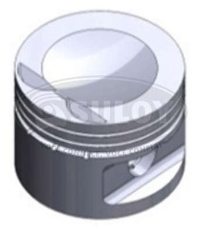 PISTÃO 0,50 TAKAO - P GM 20D 0,50