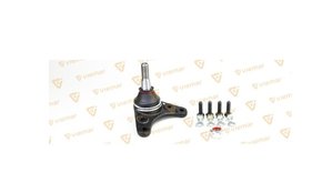 PIVÔ DE SUSPENSÃO SUPERIOR DIREITO / ESQUERDO VIEMAR - 503322