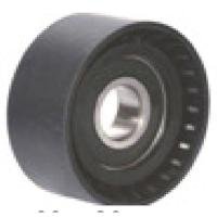 Polia Da Correia De Serviço 206 207 C3 Hoggar Ranalle R4517