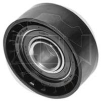 POLIA DA CORREIA DESVIADORA DO ALTERNADOR ZEN - 12763