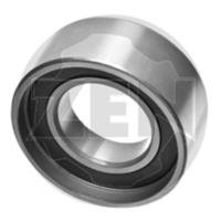 POLIA CORREIA POLIA DESVIADORA CORREIA DENTAZEN - 12769