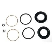 REPARO DO PISTÃO DA PINÇA CONTROIL - C-1480