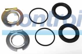 REPARO DO PISTÃO DA PINÇA CONTROIL - C-1498