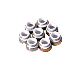 RETENTOR DA HASTE VÁLVULA ADMISSÃOSCAPE TARANTO - R550610T