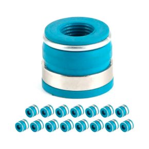 RETENTOR VÁLVULA TARANTO - R300310P