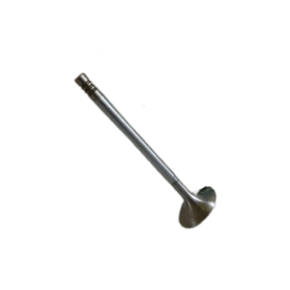 VÁLVULA DE ADMISSÃO KS PIERBURG - 50017879