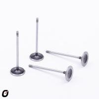 VÁLVULA DE ADMISSÃO TAKAO - VAD FI 14A