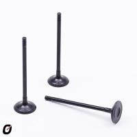 VÁLVULA DE ADMISSÃO TAKAO - VAD FO 10B