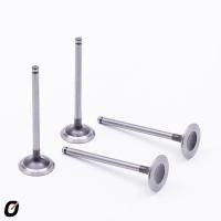 VÁLVULA DE ADMISSÃO TAKAO - VAD PG 14A