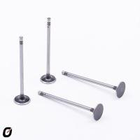 VÁLVULA DE ADMISSÃO TAKAO - VAD RE 09