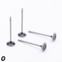 VÁLVULA DE ADMISSÃO TAKAO - VAD RE 17