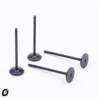 VÁLVULA DE ADMISSÃO TAKAO - VAD RE 20B