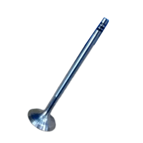 VÁLVULA DE ESCAPE EATON - VS5825