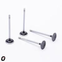 VÁLVULA DE ESCAPE TAKAO - VES GM 14