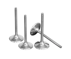 VÁLVULA DE ESCAPE VALVULAS 3B - 4185-EN - LOGAN \ SANDERO