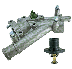 Valvula Termostatica Peugeot