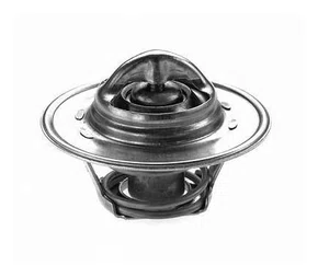Válvula Termostática da Peugeot