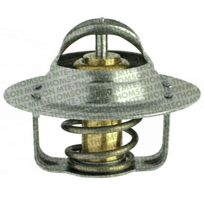 VÁLVULA TERMOSTÁTICA MTE-THOMSON - VT317.95 95°C