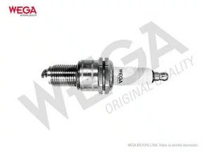 VELA WEGA (MULTIPLO 4)